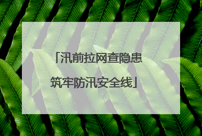 汛前拉网查隐患 筑牢防汛安全线