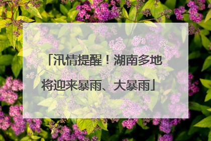 汛情提醒！湖南多地将迎来暴雨、大暴雨