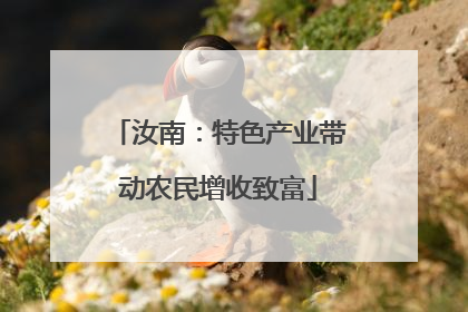 汝南：特色产业带动农民增收致富