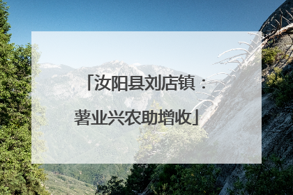 汝阳县刘店镇：薯业兴农助增收