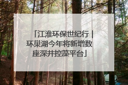 江淮环保世纪行｜环巢湖今年将新增数座深井控藻平台