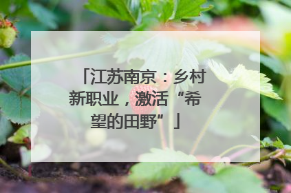 江苏南京：乡村新职业，激活“希望的田野”