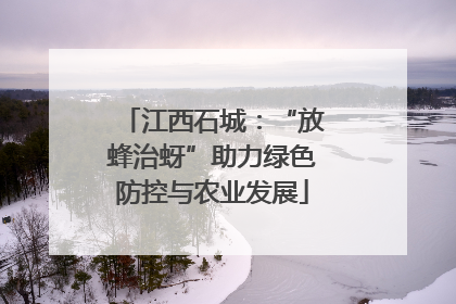 江西石城：“放蜂治蚜”助力绿色防控与农业发展