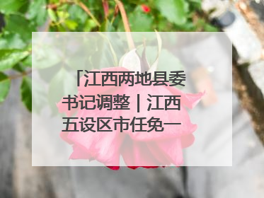 江西两地县委书记调整｜江西五设区市任免一批领导干部