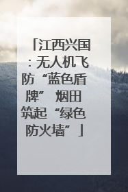 江西兴国：无人机飞防“蓝色盾牌” 烟田筑起“绿色防火墙”