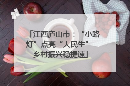 江西庐山市：“小路灯”点亮“大民生” 乡村振兴稳提速