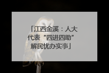 江西金溪：人大代表“四进四助”解民忧办实事
