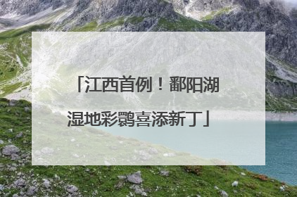 江西首例！鄱阳湖湿地彩鹮喜添新丁