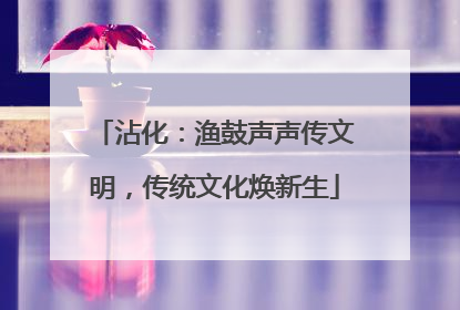 沾化：渔鼓声声传文明，传统文化焕新生