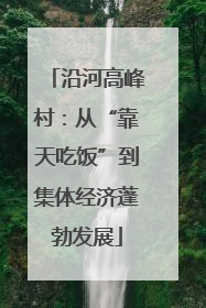 沿河高峰村：从“靠天吃饭”到集体经济蓬勃发展