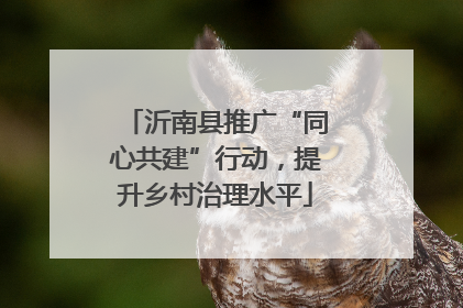 沂南县推广“同心共建”行动，提升乡村治理水平