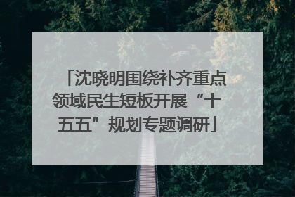 沈晓明围绕补齐重点领域民生短板开展“十五五”规划专题调研