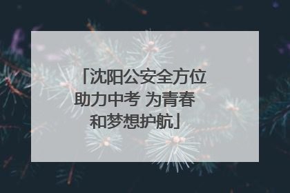 沈阳公安全方位助力中考 为青春和梦想护航