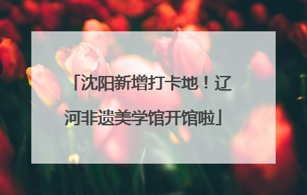 沈阳新增打卡地！辽河非遗美学馆开馆啦