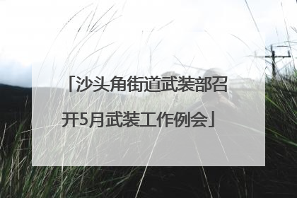 沙头角街道武装部召开5月武装工作例会