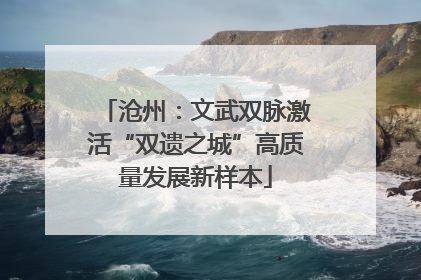 沧州：文武双脉激活“双遗之城”高质量发展新样本