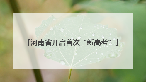 河南省开启首次“新高考”