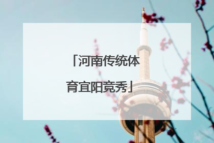 河南传统体育宜阳竞秀