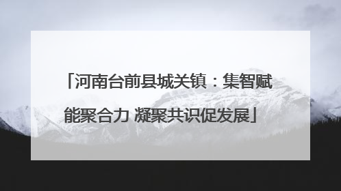 河南台前县城关镇：集智赋能聚合力 凝聚共识促发展