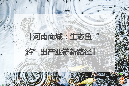 河南商城：生态鱼“游”出产业链新路径