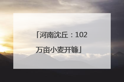 河南沈丘：102 万亩小麦开镰