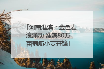 河南淮滨：金色麦浪涌动 淮滨80万亩弱筋小麦开镰