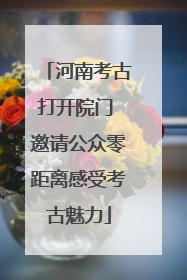 河南考古打开院门 邀请公众零距离感受考古魅力