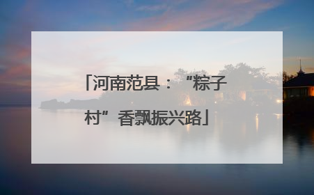 河南范县：“粽子村”香飘振兴路