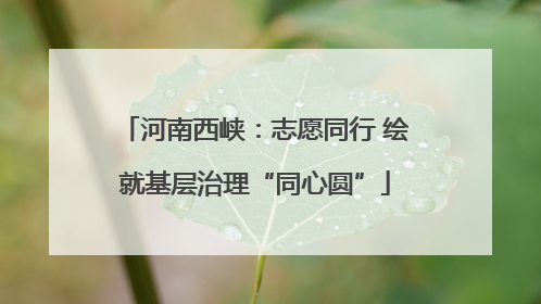 河南西峡：志愿同行 绘就基层治理“同心圆”