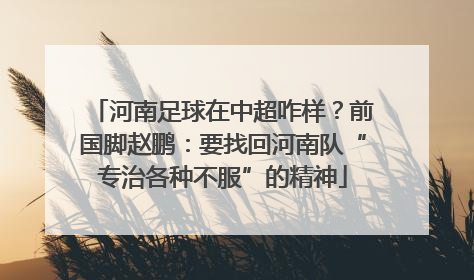 河南足球在中超咋样？前国脚赵鹏：要找回河南队“专治各种不服”的精神
