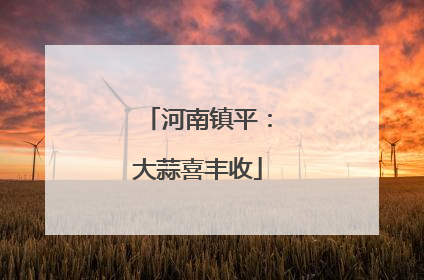 河南镇平：大蒜喜丰收