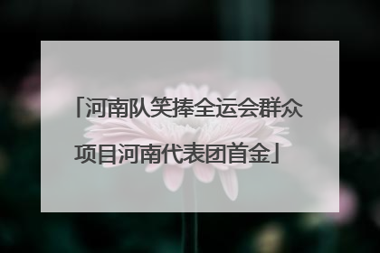 河南队笑捧全运会群众项目河南代表团首金