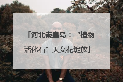 河北秦皇岛：“植物活化石”天女花绽放