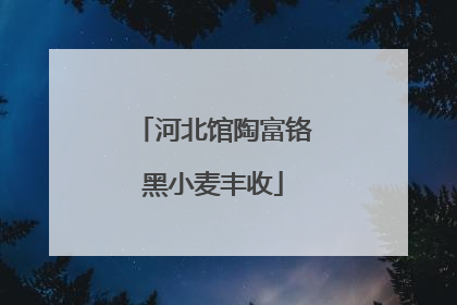 河北馆陶富铬黑小麦丰收