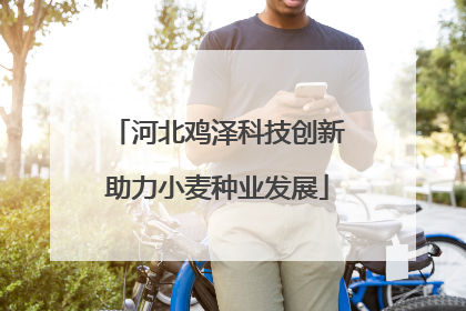 河北鸡泽科技创新助力小麦种业发展