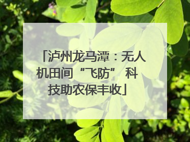 泸州龙马潭：无人机田间“飞防” 科技助农保丰收