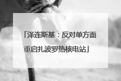 泽连斯基：反对单方面重启扎波罗热核电站