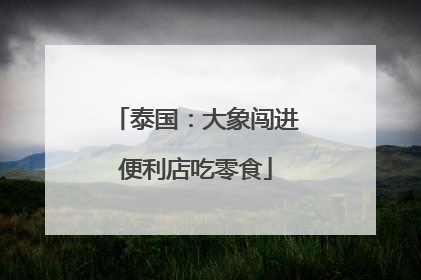 泰国：大象闯进便利店吃零食