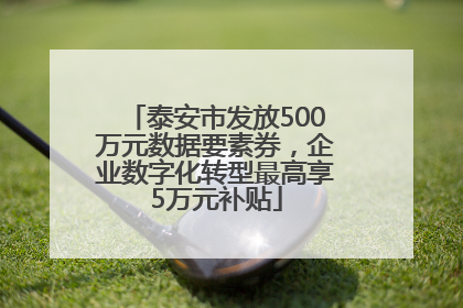 泰安市发放500万元数据要素券，企业数字化转型最高享5万元补贴