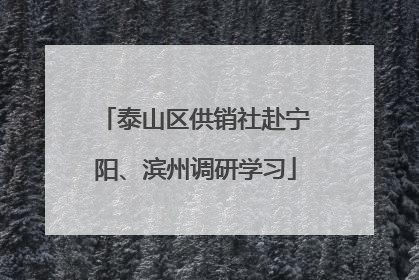 泰山区供销社赴宁阳、滨州调研学习