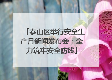 泰山区举行安全生产月新闻发布会：全力筑牢安全防线