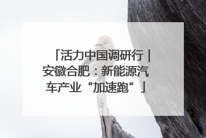 活力中国调研行｜安徽合肥：新能源汽车产业“加速跑”