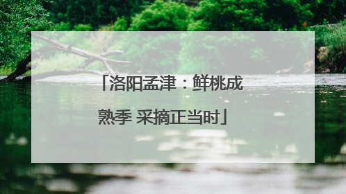 洛阳孟津：鲜桃成熟季 采摘正当时