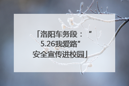 洛阳车务段：“5.26我爱路”安全宣传进校园