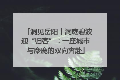 洞见岳阳丨洞庭碧波迎“归客”：一座城市与麋鹿的双向奔赴