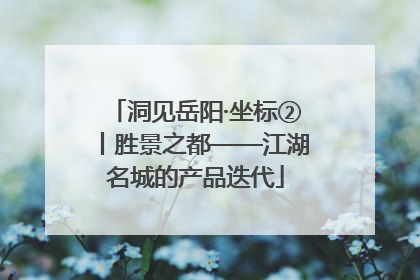 洞见岳阳·坐标②丨胜景之都——江湖名城的产品迭代