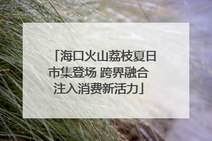 海口火山荔枝夏日市集登场 跨界融合注入消费新活力