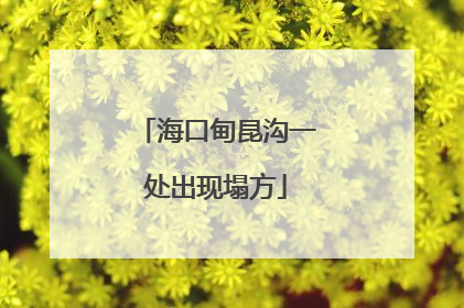 海口甸昆沟一处出现塌方