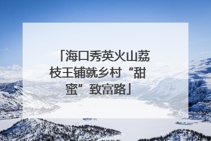 海口秀英火山荔枝王铺就乡村“甜蜜”致富路