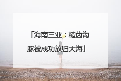 海南三亚：糙齿海豚被成功放归大海